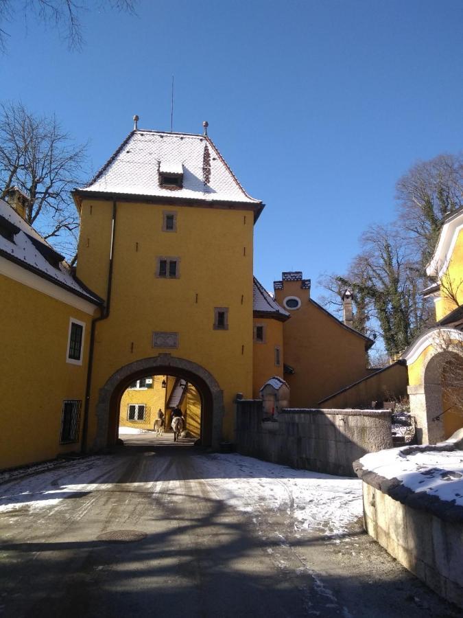 Gaestewohnung Schlossblick 格洛迪 外观 照片